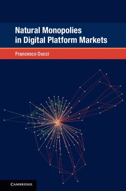 Natural Monopolies in Digital Platform Markets 1