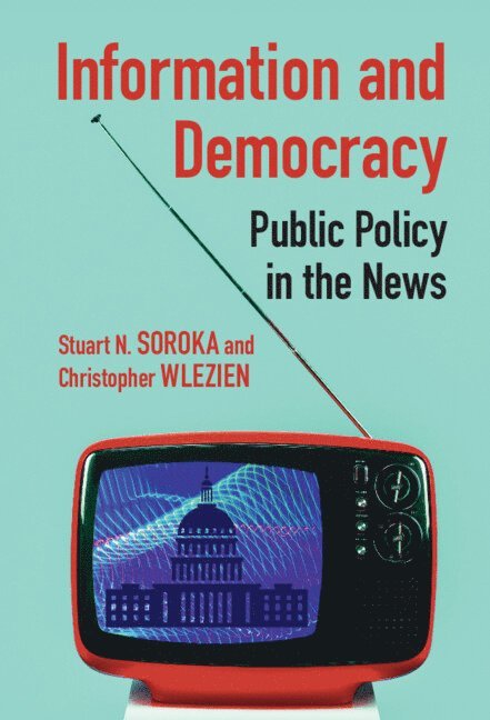 Information and Democracy 1