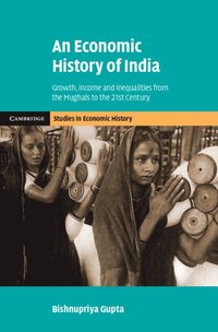 bokomslag An Economic History of India