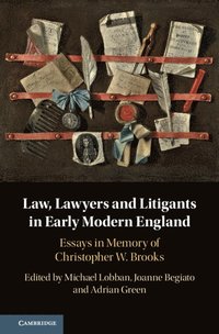 bokomslag Law, Lawyers and Litigants in Early Modern England