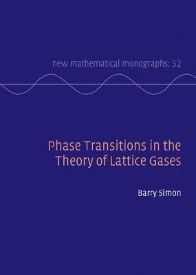 bokomslag Phase Transitions in the Theory of Lattice Gases