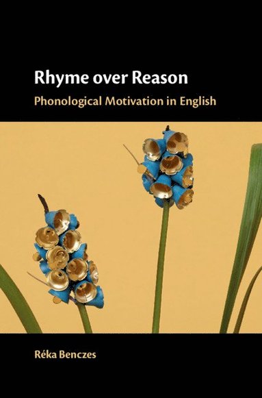 bokomslag Rhyme over Reason