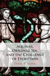 bokomslag Aquinas, Original Sin, and the Challenge of Evolution