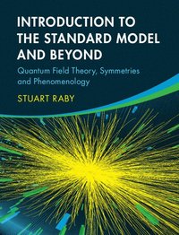 bokomslag Introduction to the Standard Model and Beyond