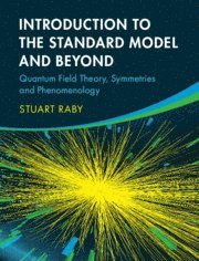 bokomslag Introduction to the Standard Model and Beyond