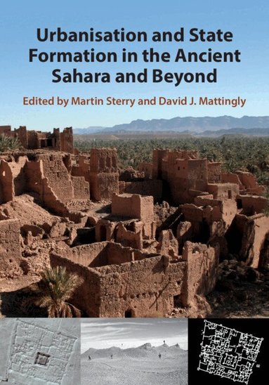 Martin Sterry, David J. Mattingly - Urbanisation and State Formation in the Ancient Sahara and Beyond, Inbunden