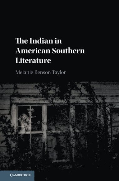 bokomslag The Indian in American Southern Literature