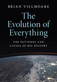 bokomslag The Evolution of Everything