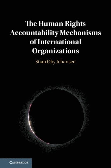 bokomslag The Human Rights Accountability Mechanisms of International Organizations