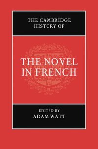 bokomslag The Cambridge History of the Novel in French