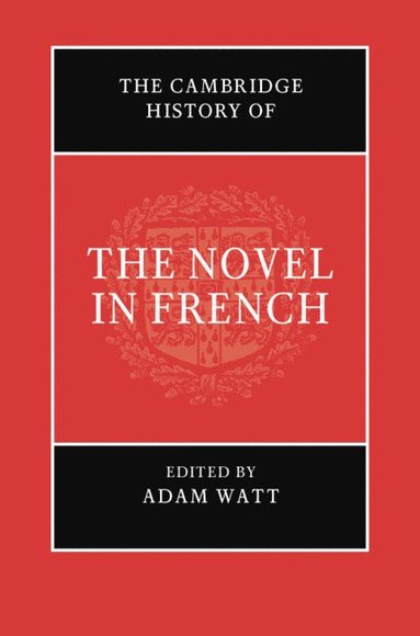 bokomslag The Cambridge History of the Novel in French