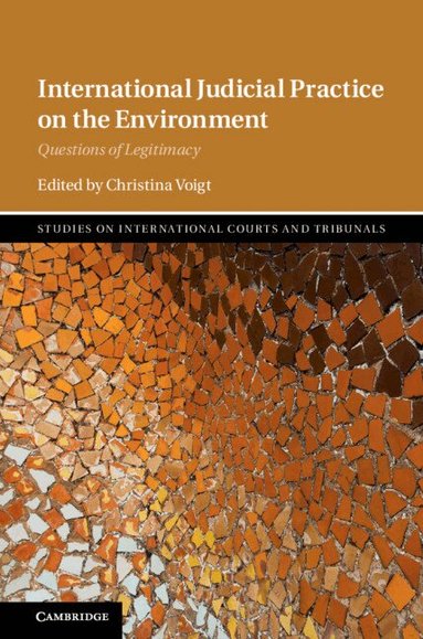 Christina Voigt - International Judicial Practice on the Environment, Inbunden