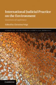 Christina Voigt, Christina (Universitetet i Oslo) Voigt - International Judicial Practice on the Environment, Inbunden