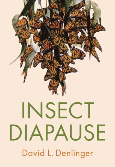 bokomslag Insect Diapause