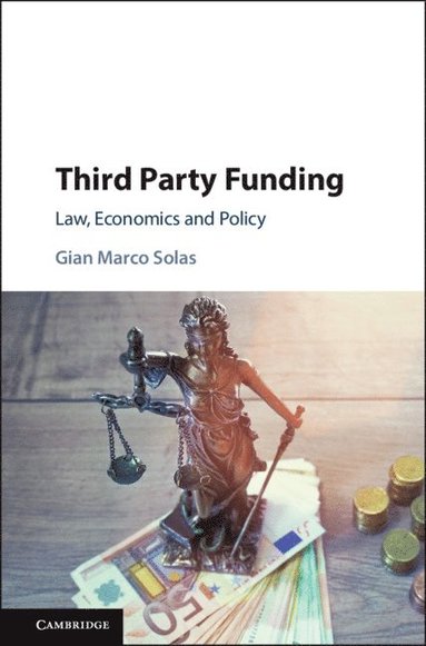 bokomslag Third Party Funding