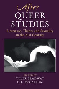 bokomslag After Queer Studies
