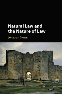 bokomslag Natural Law and the Nature of Law