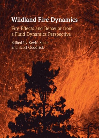 bokomslag Wildland Fire Dynamics