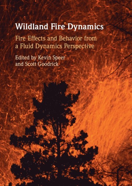 Wildland Fire Dynamics 1