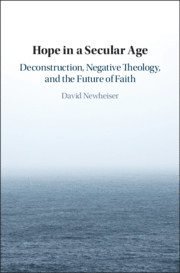 bokomslag Hope in a Secular Age