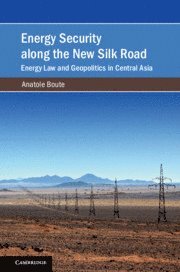 bokomslag Energy Security along the New Silk Road