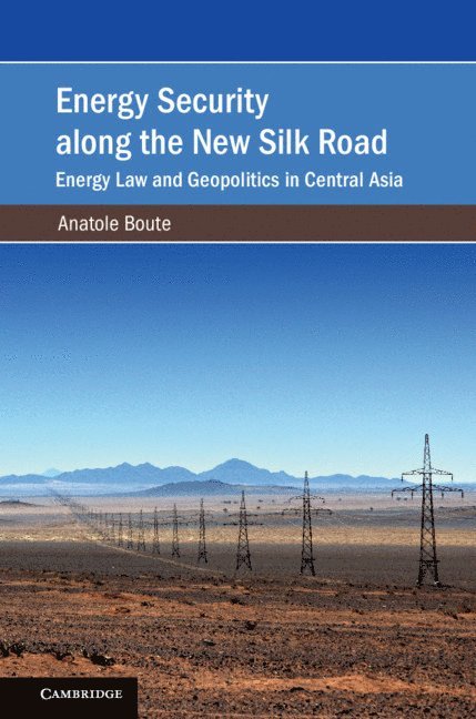 Energy Security along the New Silk Road 1