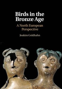 bokomslag Birds in the Bronze Age