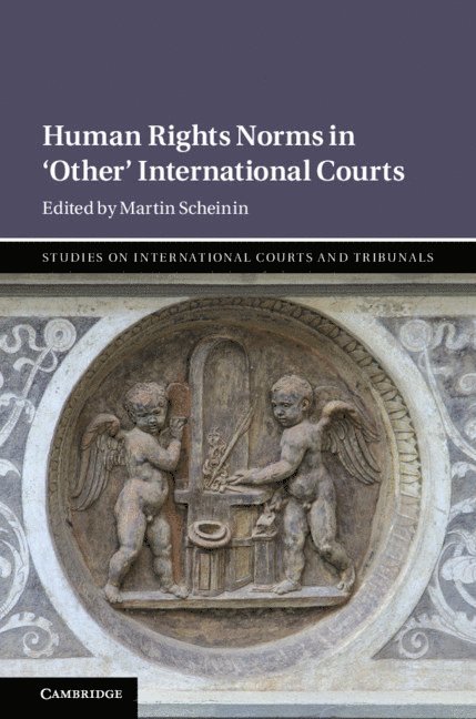 Martin Scheinin, Florence) Scheinin, Martin (European University Institute - Human Rights Norms in ‘Other' International Courts, Inbunden