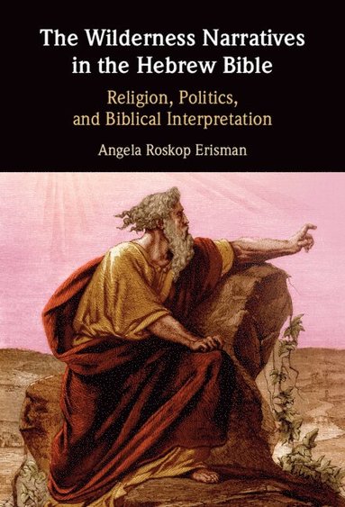 bokomslag Wilderness Narratives in the Hebrew Bible