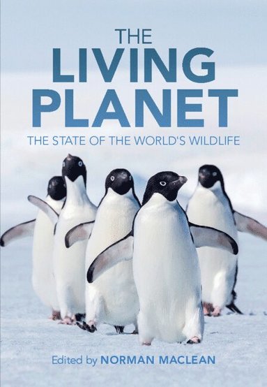 bokomslag Living Planet