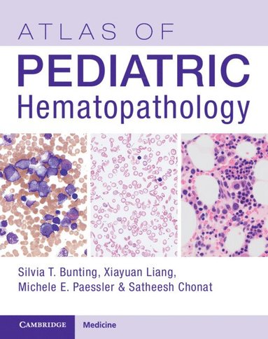 bokomslag Atlas of Pediatric Hematopathology