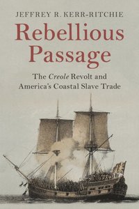 bokomslag Rebellious Passage