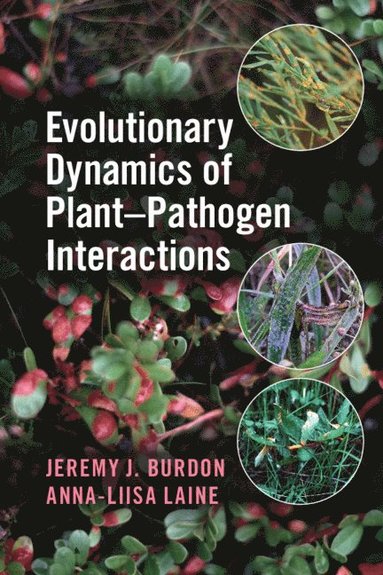 bokomslag Evolutionary Dynamics of Plant-Pathogen Interactions