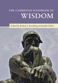 bokomslag The Cambridge Handbook of Wisdom