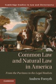 bokomslag Common Law and Natural Law in America