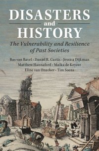 bokomslag Disasters and History