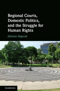 bokomslag Regional Courts, Domestic Politics, and the Struggle for Human Rights