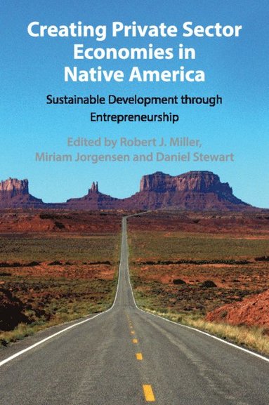 bokomslag Creating Private Sector Economies in Native America