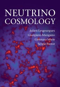 bokomslag Neutrino Cosmology