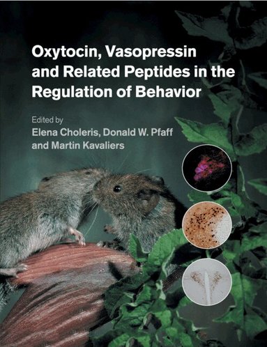 Elena Choleris, Donald W. Pfaff, Martin Kavaliers - Oxytocin, Vasopressin and Related Peptides in the Regulation of Behavior, Häftad