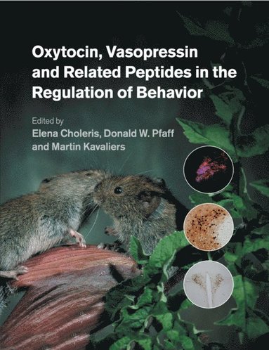 bokomslag Oxytocin, Vasopressin and Related Peptides in the Regulation of Behavior