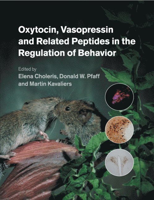 Oxytocin, Vasopressin and Related Peptides in the Regulation of Behavior 1