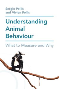bokomslag Understanding Animal Behaviour