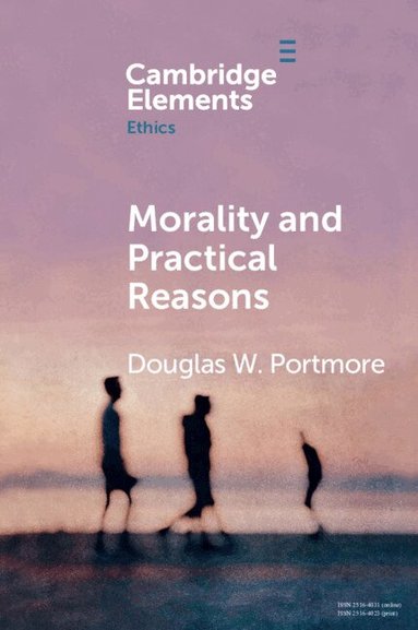 Douglas W. Portmore - Morality and Practical Reasons, Häftad