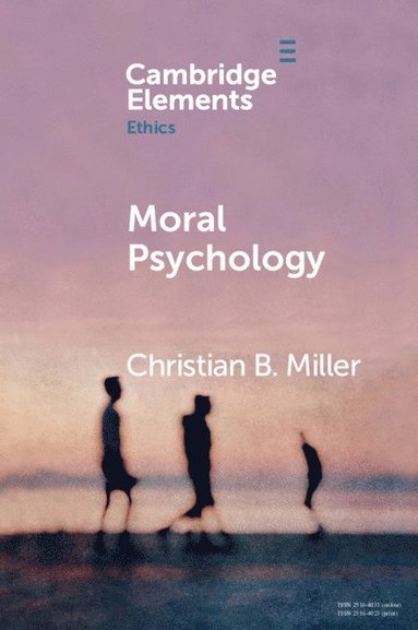 bokomslag Moral Psychology