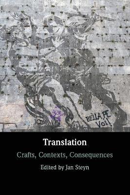 bokomslag Translation