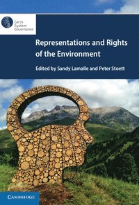 bokomslag Representations and Rights of the Environment