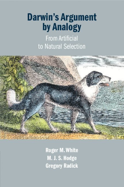 Roger M. White, M. J. S. Hodge, Gregory Radick, Roger M. (University of Leeds) White, M. J. S. (University of Leeds) Hodge, Gregory (University of Leeds) Radick, Roger M White, M J S Hodge - Darwin's Argument by Analogy, Häftad