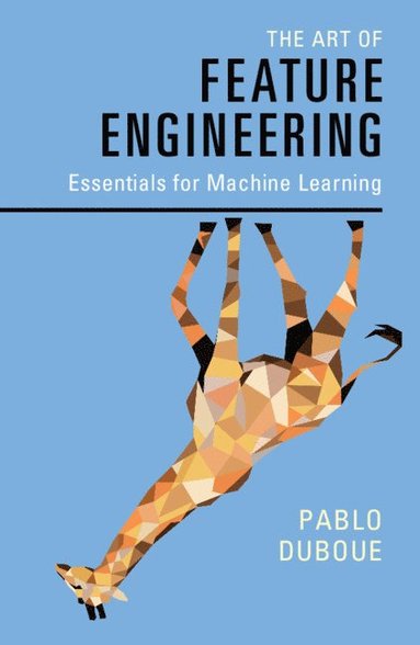 bokomslag Art of Feature Engineering