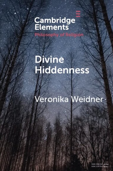 Veronika Weidner - Divine Hiddenness, Häftad